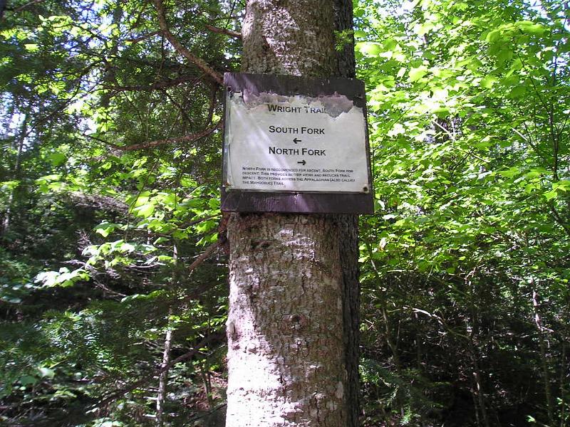 GooseEye (5).JPG - The trail intersection.